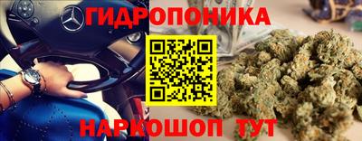 spice Краснознаменск