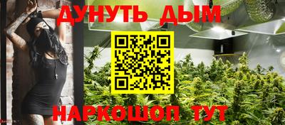 крисы Краснокаменск