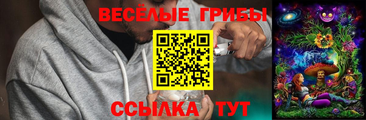 Псилоцибиновые грибы мицелий  Псилоцибиновые грибы GOLDEN TEACHER  что такое наркотик  Жуковский  Вход с VPN 